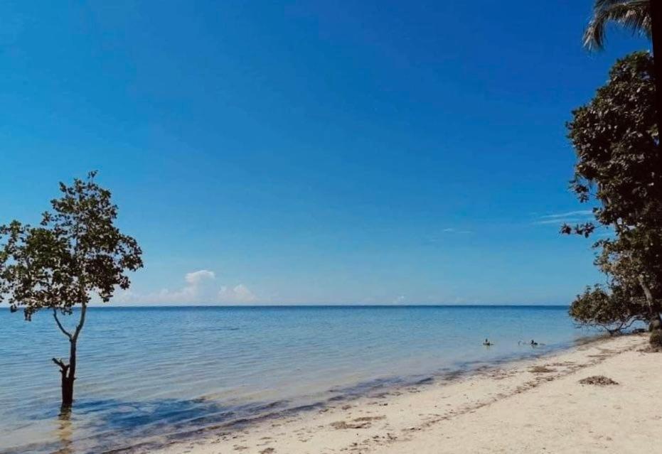 Summer Days Puerto Princesa Eksteriør billede